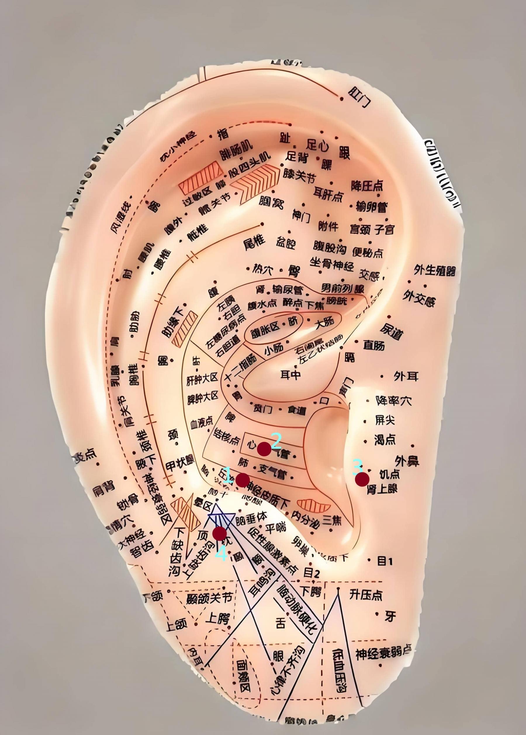 Aricular points for heat-related problems